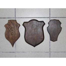 3 Trophés chasse coupe cabinet de curiosité bois chene